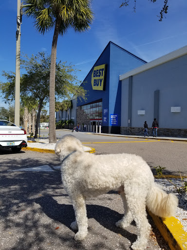 Electronics Store «Best Buy», reviews and photos, 21415 US-19, Clearwater, FL 33765, USA