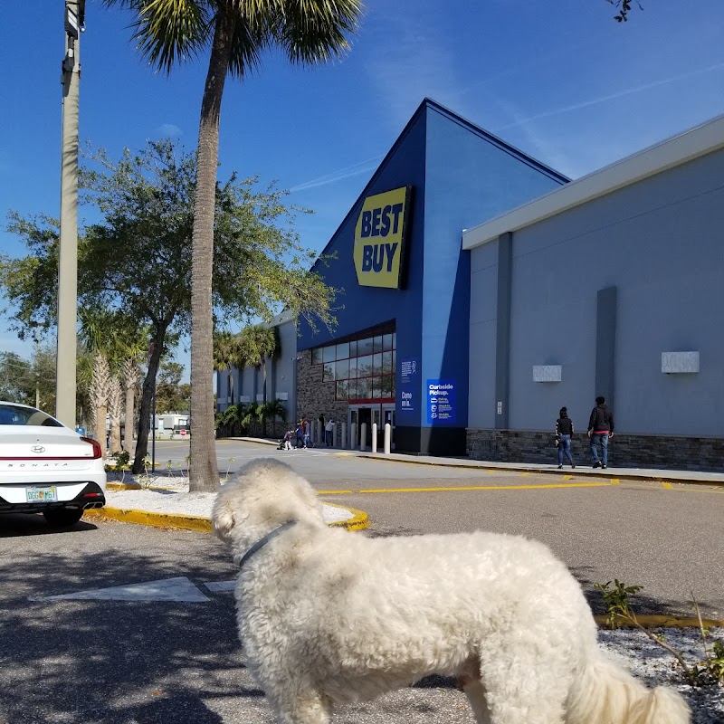 Best Buy