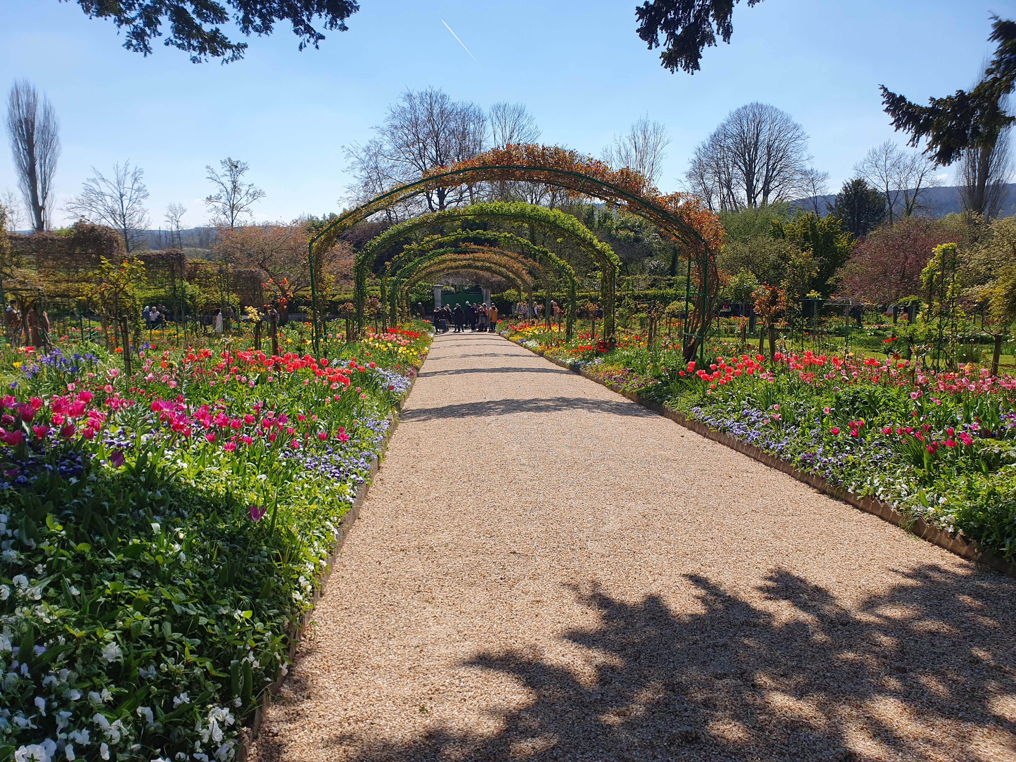 Photo n° 4 de l'avis de Camille. fait le 09/04/2023 à 04:07