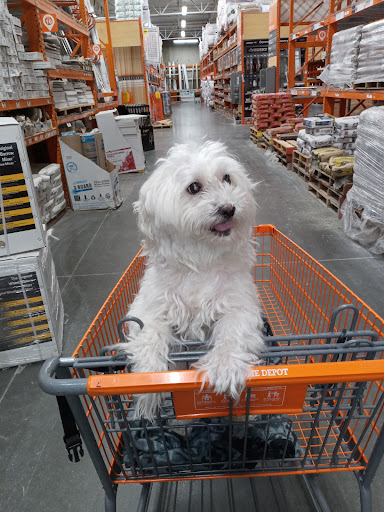 Home Improvement Store «The Home Depot», reviews and photos, 845 W Shaw Ave, Clovis, CA 93612, USA