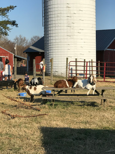 Park «Kinder Farm Park», reviews and photos, 1001 Kinder Farm Park Rd, Millersville, MD 21108, USA