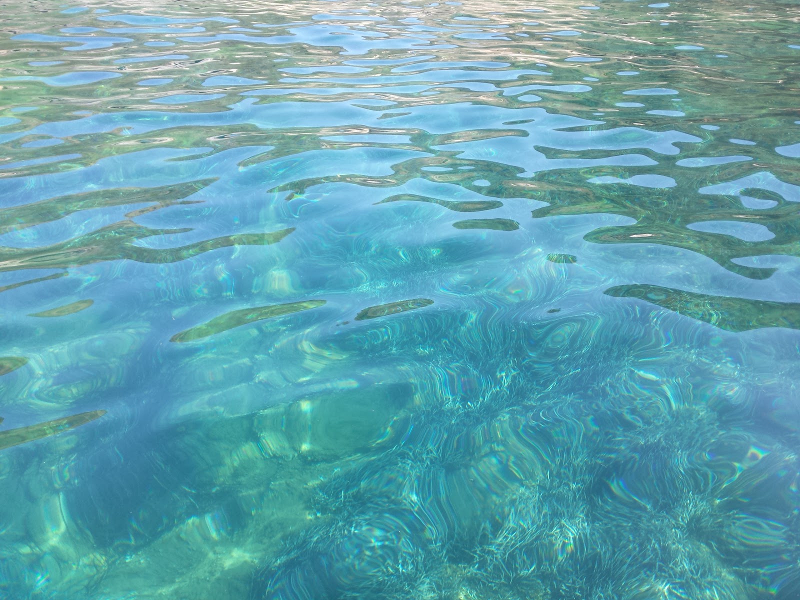 Foto di Le Secche beach con una superficie del acqua cristallina