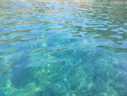 Le Secche beach'in fotoğrafı küçük koy ile birlikte