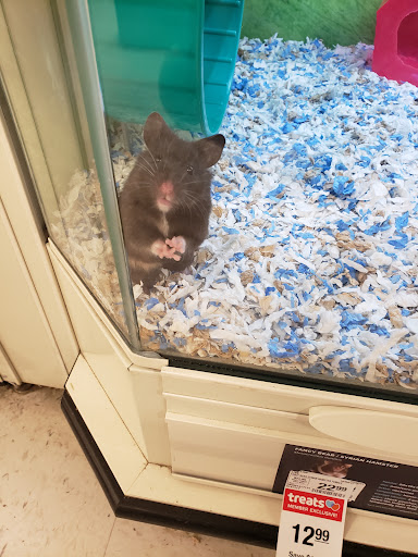 Pet Supply Store «PetSmart», reviews and photos, 1297 Promenade Pl, Eagan, MN 55121, USA