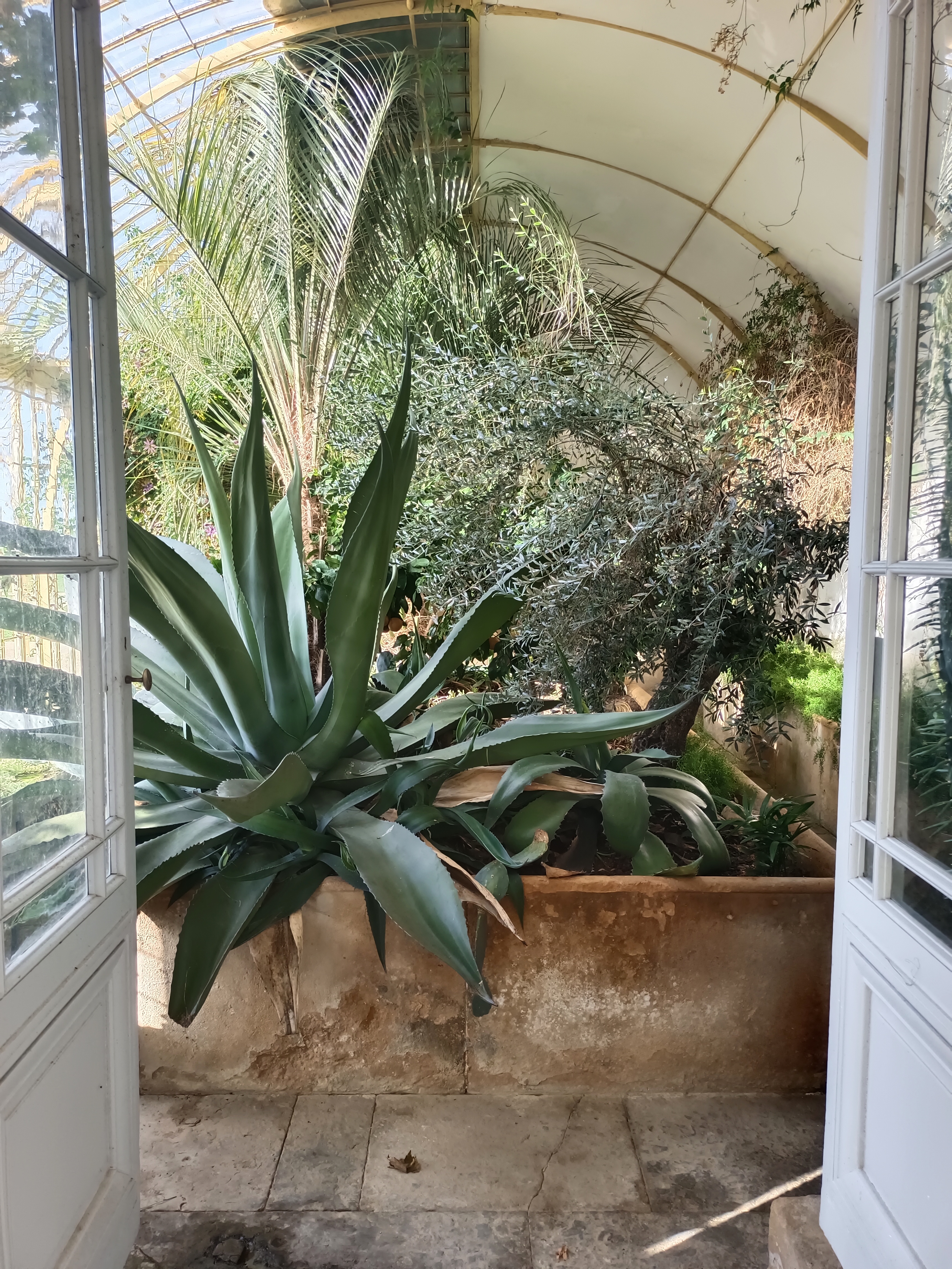 Photo n° 7 de l'avis de Alexandra.o fait le 24/10/2022 à 18:44