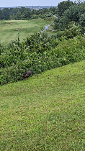 Golf Course «Meadow Golf Course-Peabody», reviews and photos, 80 Granite St, Peabody, MA 01960, USA