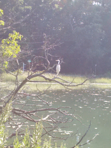 Photo of Ocean Shore Electric Llc