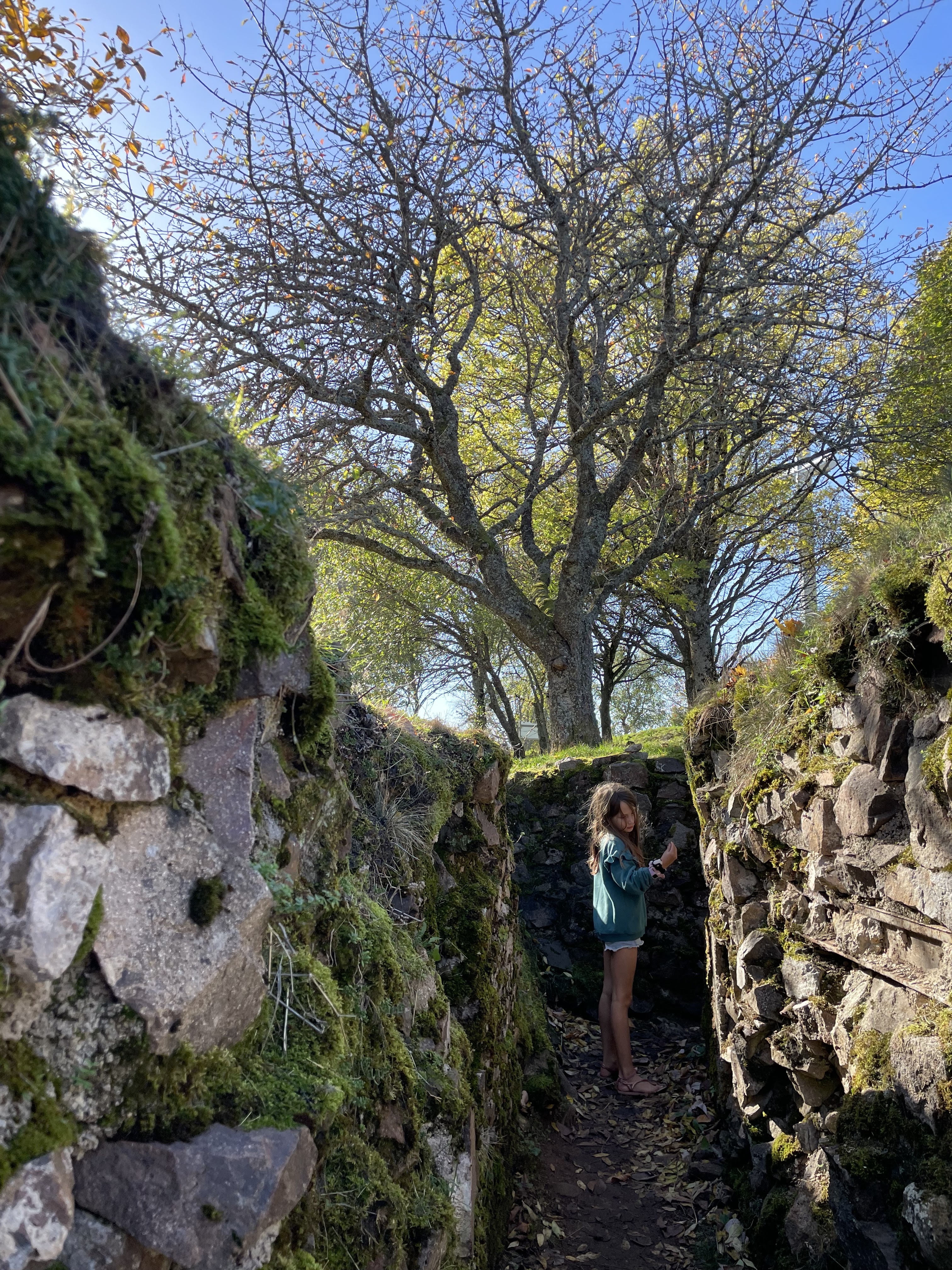 Photo n° 6 de l'avis de NC.o fait le 27/10/2022 à 19:04