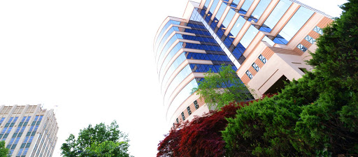 Garza Law Firm PLLC, 550 W Main St #340, Knoxville, TN 37902, Trial Attorney