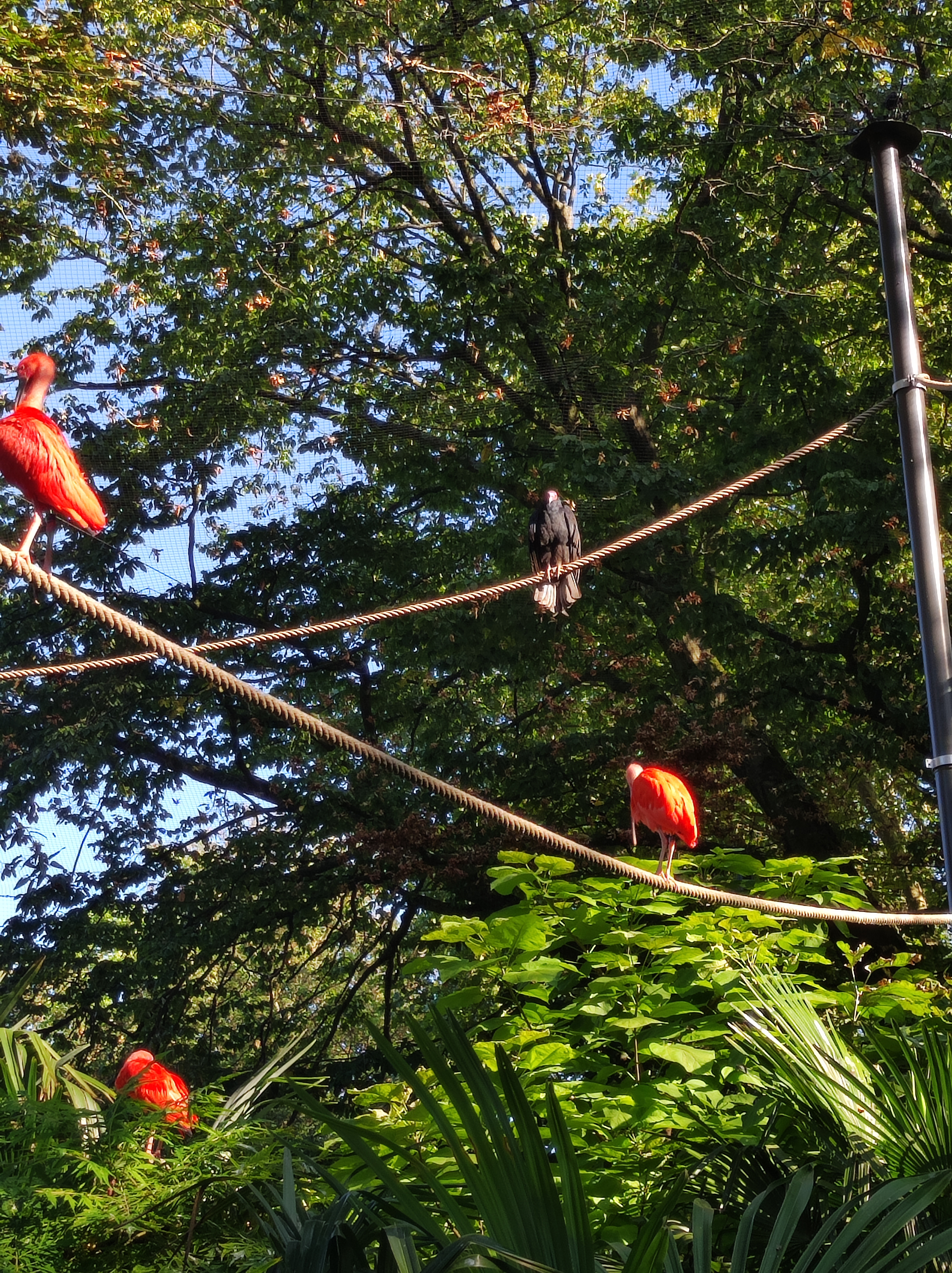 Photo n° 2 de l'avis de Barcelonesa974. fait le 18/01/2024 à 06:36