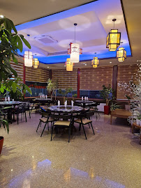 Atmosphère du Restaurant chinois Le Jasmin à Bourg-en-Bresse - n°20