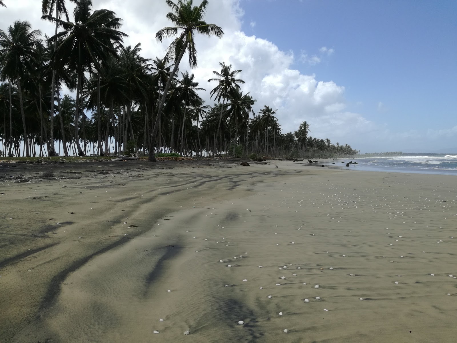 Foto van Playa Cayenas met helder zand oppervlakte