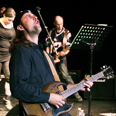 Damien Reisch Guitariste