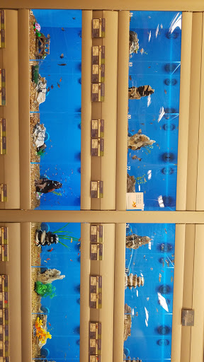 Pet Supply Store «PetSmart», reviews and photos, 901 US-1, North Brunswick Township, NJ 08902, USA