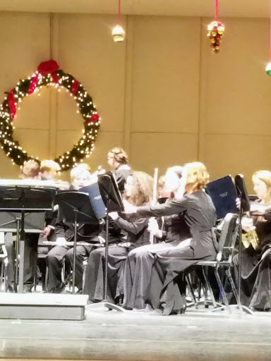 Performing Arts Theater «Medina Performing Arts Center», reviews and photos, 851 Weymouth Rd, Medina, OH 44256, USA