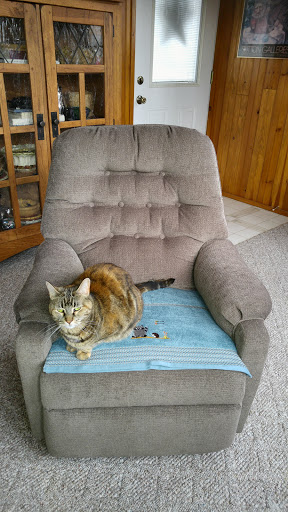 Veterinarian «Cherry Ridge Veterinary Clinic», reviews and photos, 328 Wanoka Road, Honesdale, PA 18431, USA