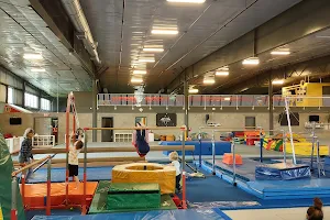 Bloomington United Gymnastics School image
