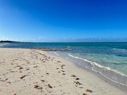 Kew Town beach'in fotoğrafı ve güzel manzarası