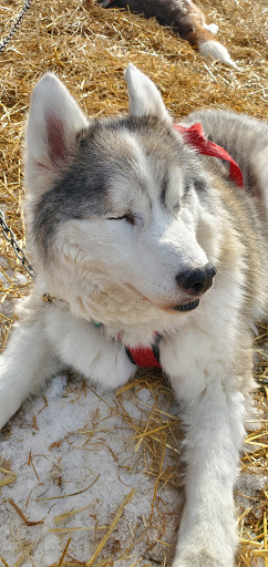 Golf Course «Twin Lakes Golf Course & Recreation Area», reviews and photos, 1200 E Lake Dr, Palatine, IL 60074, USA