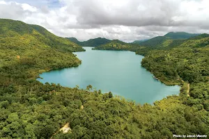 Lake Danao Natural Park image