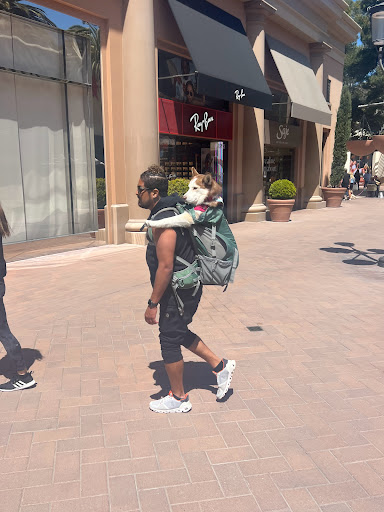 Apple Fashion Island image