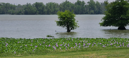 Golf Course «Prairie Lakes Golf Course», reviews and photos, 3202 SE 14th St, Grand Prairie, TX 75052, USA