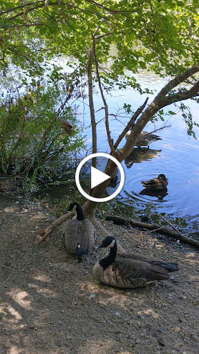 Park «Mansfield Park», reviews and photos, 85 Walker St, Massapequa Park, NY 11762, USA