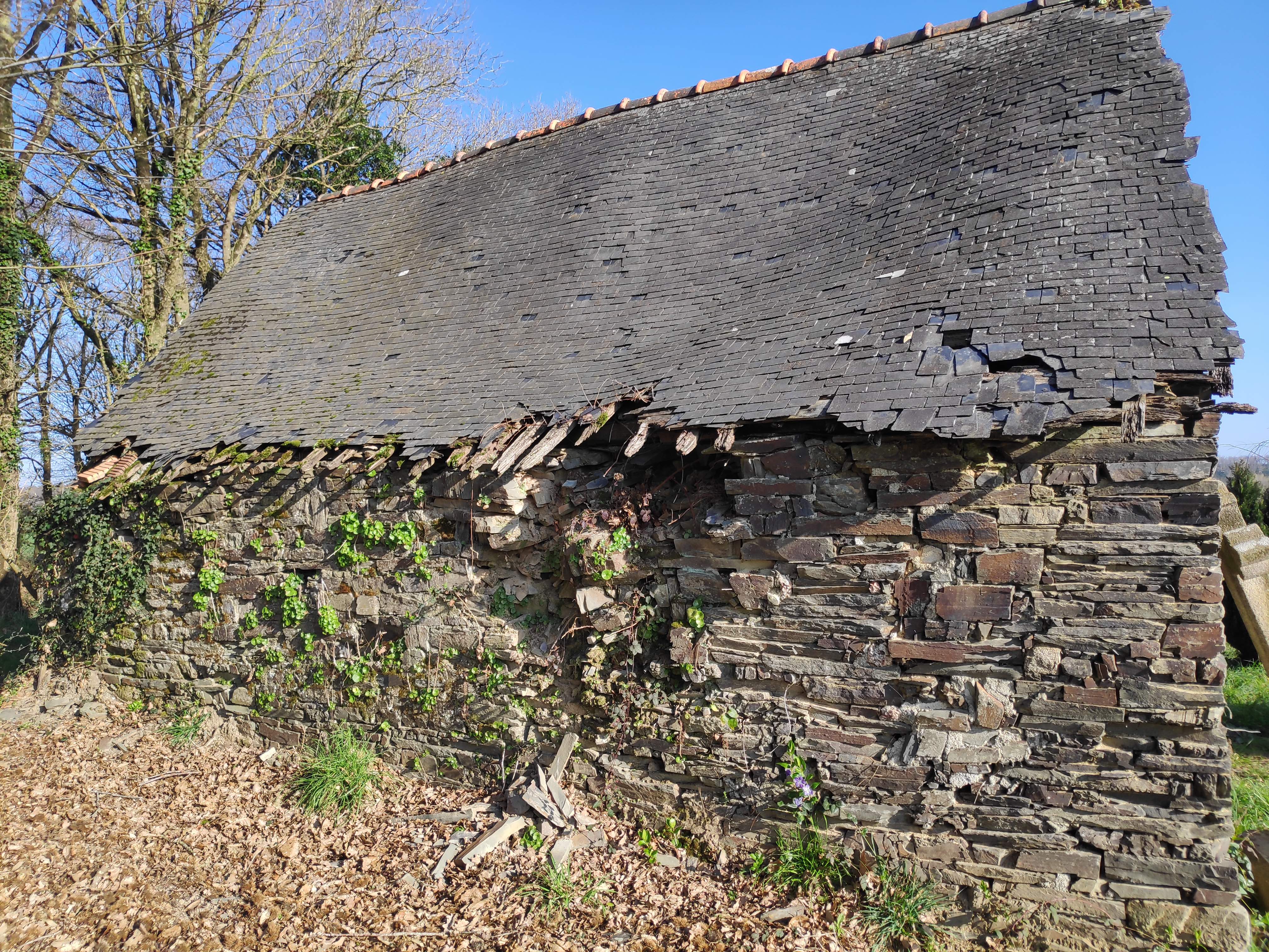 Photo n° 12 de l'avis de Diogo.a fait le 28/03/2021 à 15:44