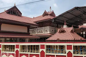 Swami Ayyappa Temple - Bhartiya Nagar, Bilaspur District, Chhattisgarh, India image