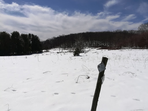 Nature Preserve «Schiff Natural Lands Trust/Schiff Nature Preserve», reviews and photos, 339 Pleasant Valley Rd, Mendham, NJ 07945, USA