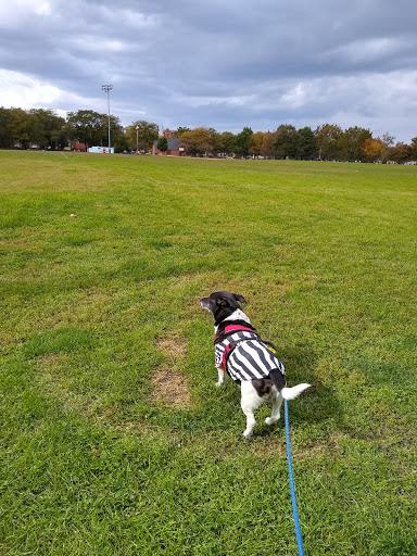 Park «Horner Park», reviews and photos, 2741 W Montrose Ave, Chicago, IL 60618, USA