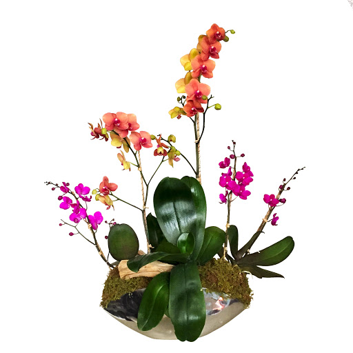 Florist «Formaneta», reviews and photos, 939 Crandon Blvd, Key Biscayne, FL 33149, USA