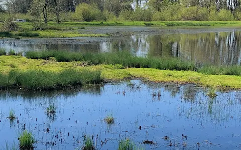 West Eugene Wetlands image