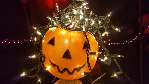 Historical Place Museum «Sanilac County Historic Village & Museum», reviews and photos, 228 South Ridge Street, Port Sanilac, MI 48469, USA