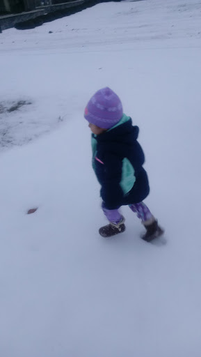 Skateboard Park «Anderson Water Park», reviews and photos, 1830 Fordney St, Saginaw, MI 48601, USA