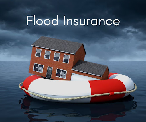 Insurance Agency «Florida Best Quote», reviews and photos