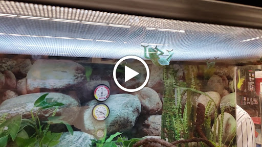 Pet Supply Store «Petco Animal Supplies», reviews and photos, 25 Hazard Ave, Enfield, CT 06082, USA