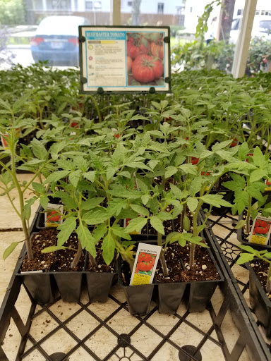 Florist «Lyndhurst Florist», reviews and photos, 5268 Mayfield Rd, Lyndhurst, OH 44124, USA