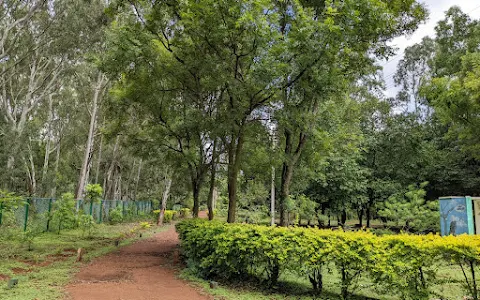 Kodimanchanahalli Tree Park image