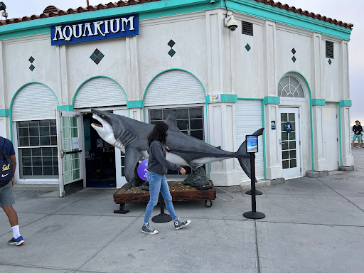 Aquarium «Roundhouse Aquarium», reviews and photos, Manhattan Beach Pier, Manhattan Beach, CA 90266, USA