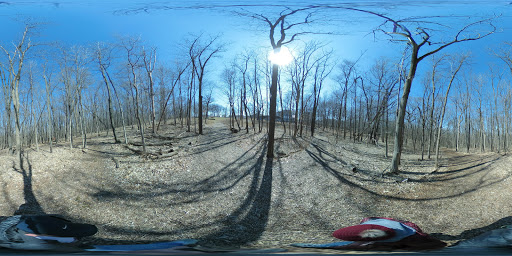 Nature Preserve «Hidden Oaks Conservation Area», reviews and photos, 419 Trout Farm Rd, Bolingbrook, IL 60440, USA