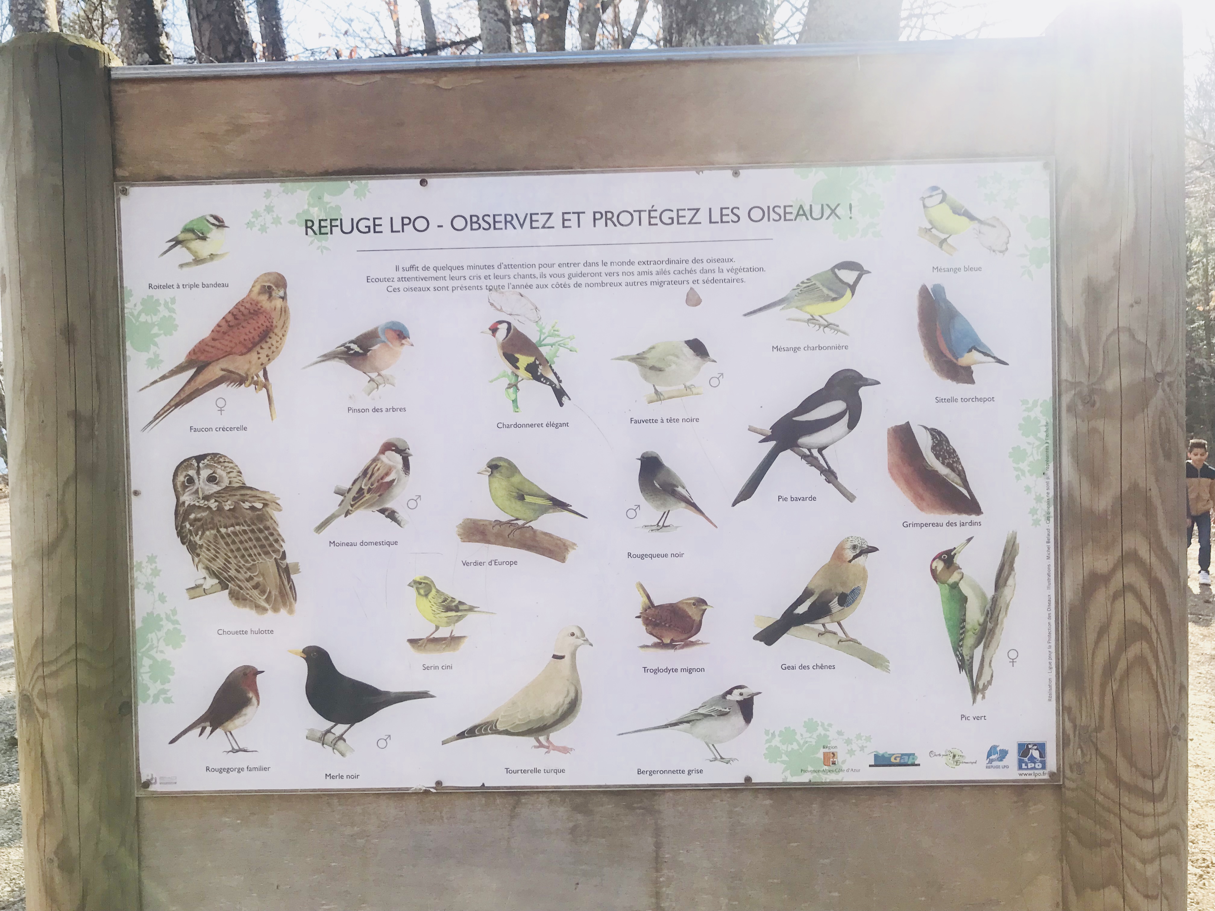 Photo n° 26 de l'avis de Catherine.a fait le 25/03/2018 à 15:10