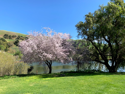 Golf Course «Spring Valley Golf Course», reviews and photos, 3441 Calaveras Rd, Milpitas, CA 95035, USA