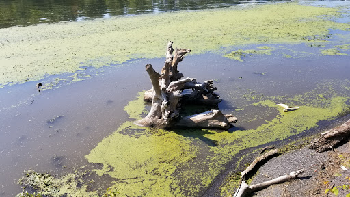 Park «Mohawk Landing Nature Preserve», reviews and photos, 640 Riverview Rd, Rexford, NY 12148, USA