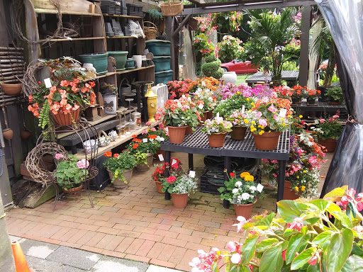 Florist «Country Flower Shoppe», reviews and photos, 21 Norristown Rd, Blue Bell, PA 19422, USA