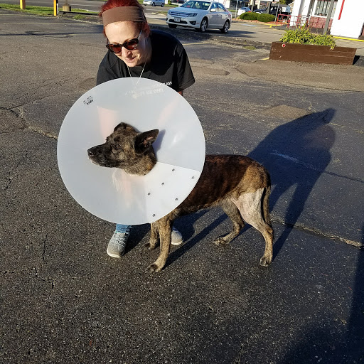 Mellett Animal Hospital image