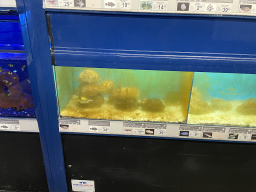 Pet Supply Store «Petco Animal Supplies», reviews and photos, 8966 S Broadway Ave #112, Tyler, TX 75703, USA