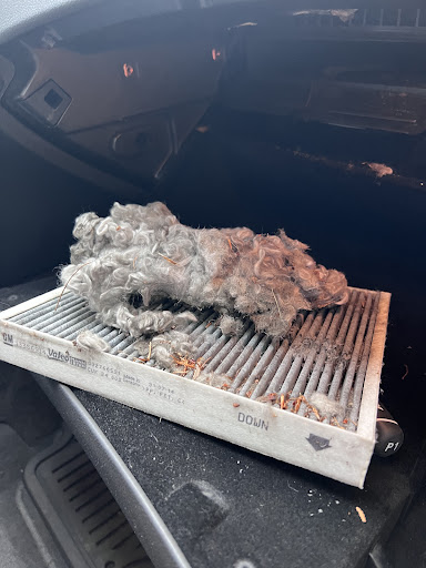 Car Dealer «Columbia Ford KIA», reviews and photos, 234 Willimantic Rd, Columbia, CT 06237, USA