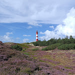 Photo n°3 de l'avis de I_am.h fait le 24/08/2022 à 15:08 sur le  Zum Strandkorb Café und Restaurant à Nordstrand