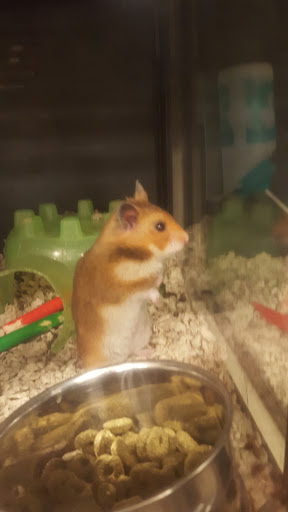 Pet Supply Store «PetSmart», reviews and photos, 28533 Marlboro Ave, Easton, MD 21601, USA